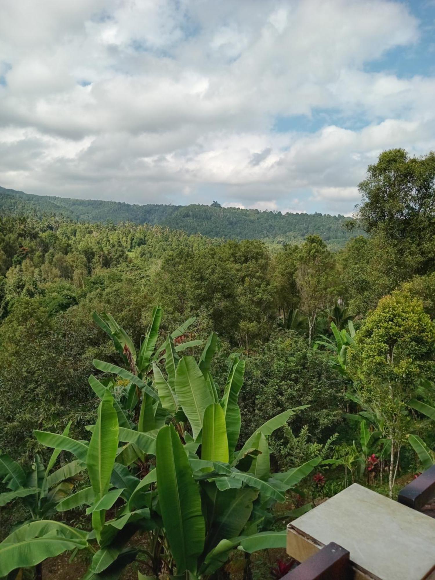 Guest house Kanaya & Warung Heaven *